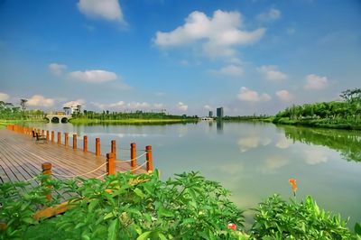 鄄城县濮水湿地公园
